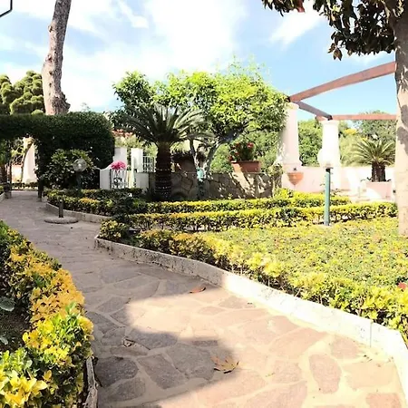 Casa Alfonso, *