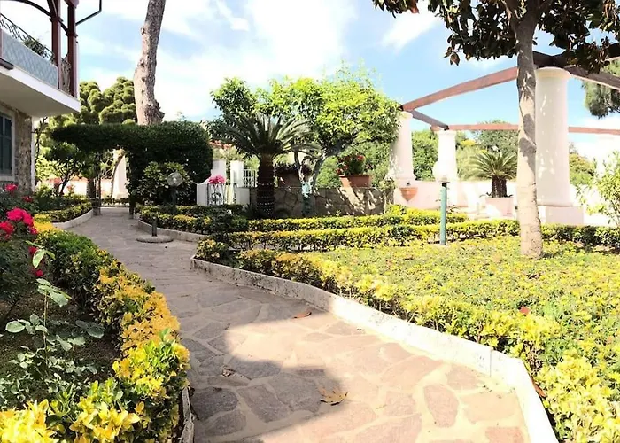 Casa Alfonso, *